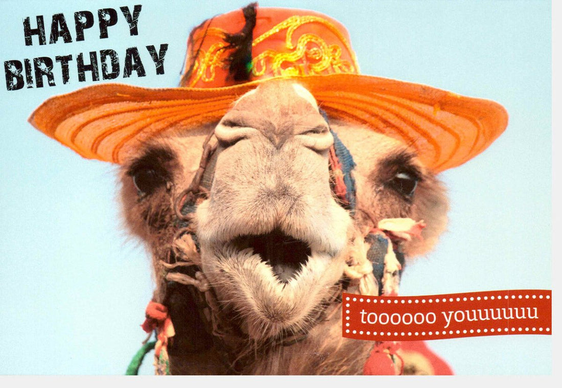 Geburtstagskarte Lustig mit Kameel - Witzige Happy Birthday Doppelkarte, Tiermotiv Grußkarte für Spaß & Humor, Originelle Geburtstagsglückwünsche, Überraschungspartytier mit Funkel - Effekt, Feierlaune Garantiert