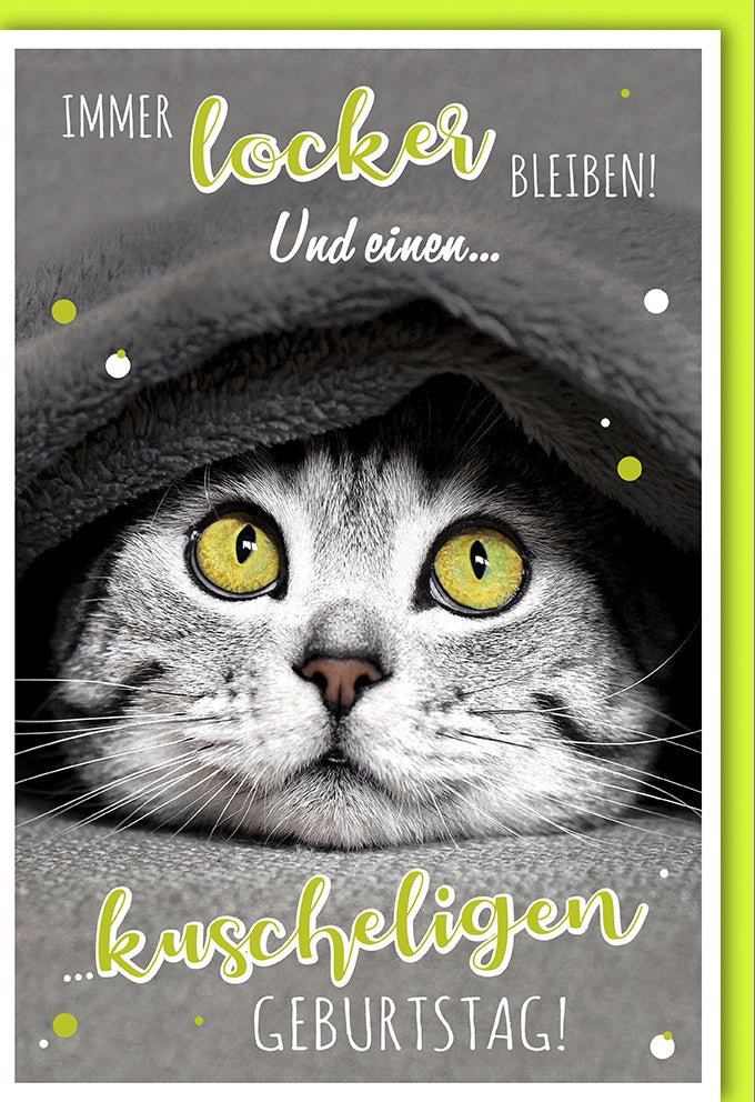 Geburtstagskarte Lustige Katze - Humorvolle Doppelkarte mit Witzigem Spruch, Kuschelige Tier - Cartoon Illustration, Spaßige Glückwünsche Grußkarte, Lockerer Fun Postkarte für Katzenliebhaber