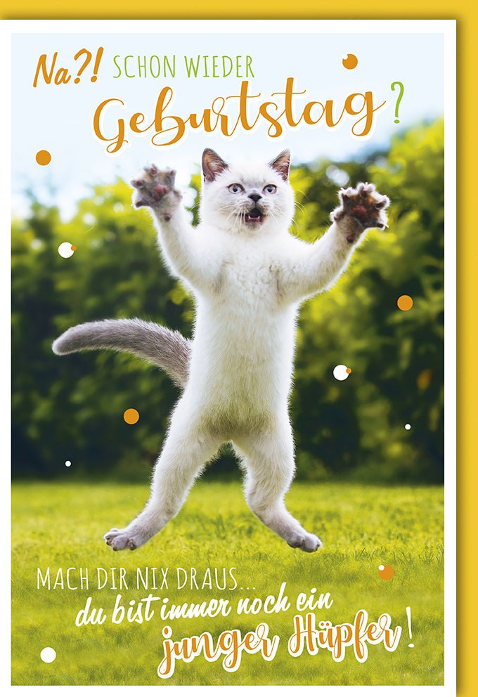 Geburtstagskarte Lustige Katze mit Spruch - Witzige Humorvolle Doppelkarte für Geburtstag, Glückwünsche & Party - Grußkarte mit Spaß & Freude, Überraschung für Junggebliebene Hüpfer
