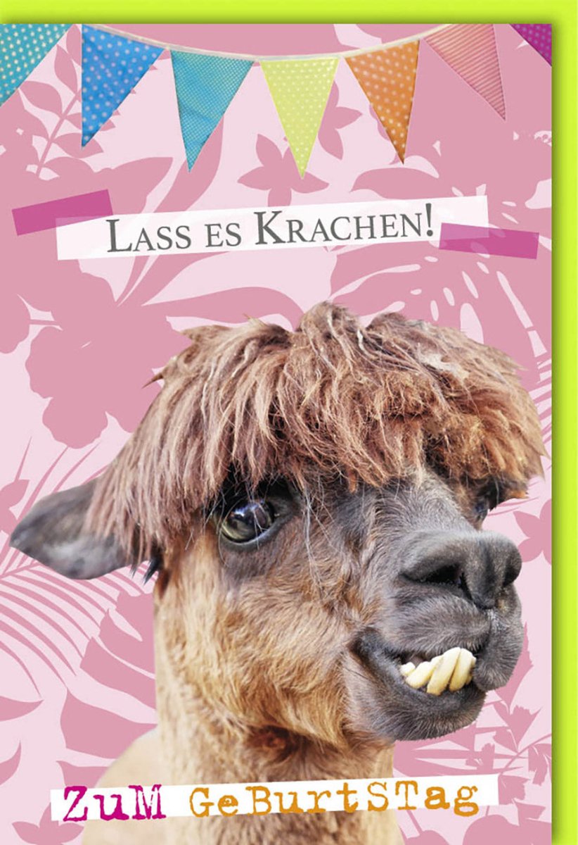 Geburtstagskarte Lustiges Lama - Witzige Grußkarte mit Humor für Spaß & Lachen, Rosa Pink Bunte Girlande, Zahniger Überraschungsspaß für Freunde & Familie, Ideal für Jugendliche & Erwachsene Feier