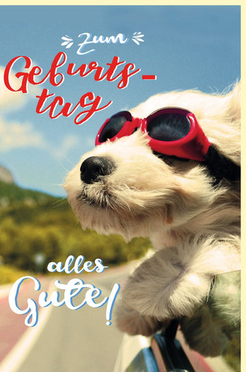 Geburtstagskarte mit Hund in Taucherbrille - Witzige Glückwunsch Doppelkarte für Tierliebhaber, Humorvolle Grußkarte mit Fotografie, Sonnenbrille, Party - Feeling & Sommer - Vibes in Gelb und Rot