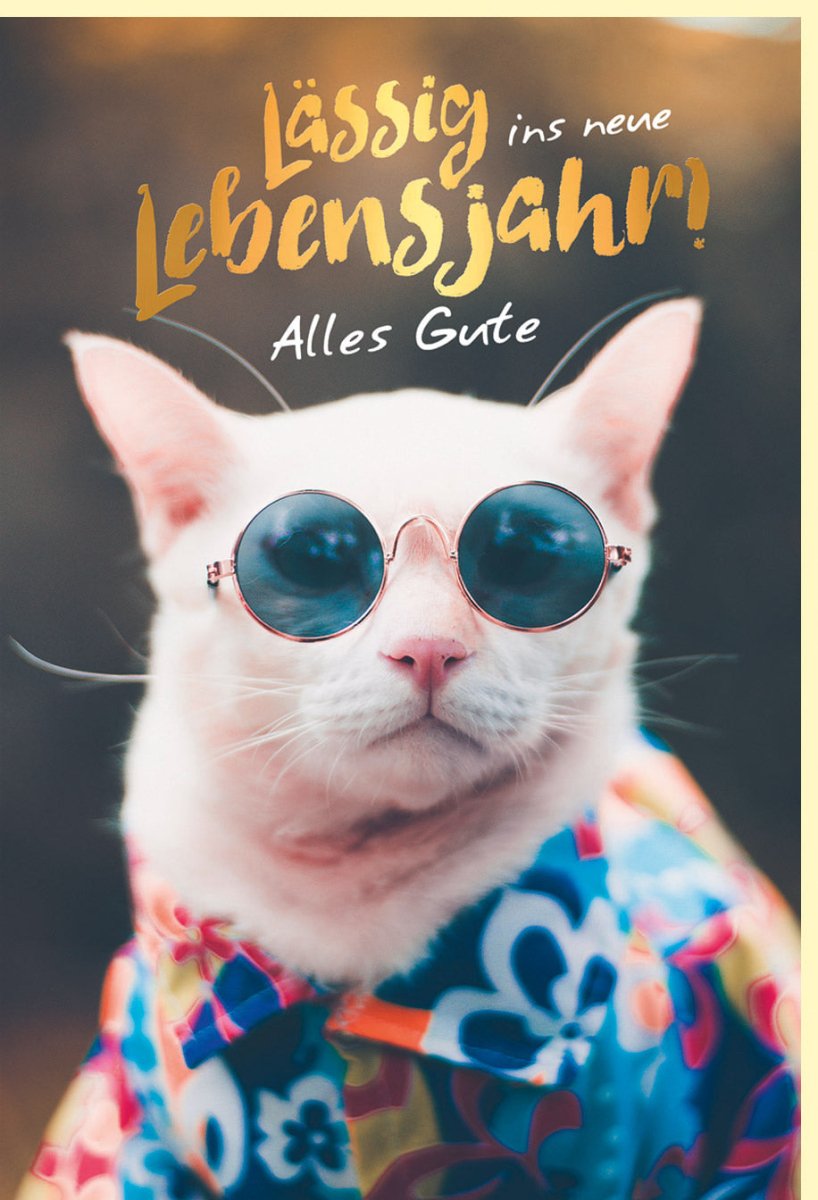 Geburtstagskarte mit Katzenmotiv - Coole Katze mit Sonnenbrille, Lustige Glückwunschkarte zum Geburtstag, Humorvolle Tiermotiv Doppelkarte für jedes Lebensjahr, Witzige Gratulationskarte