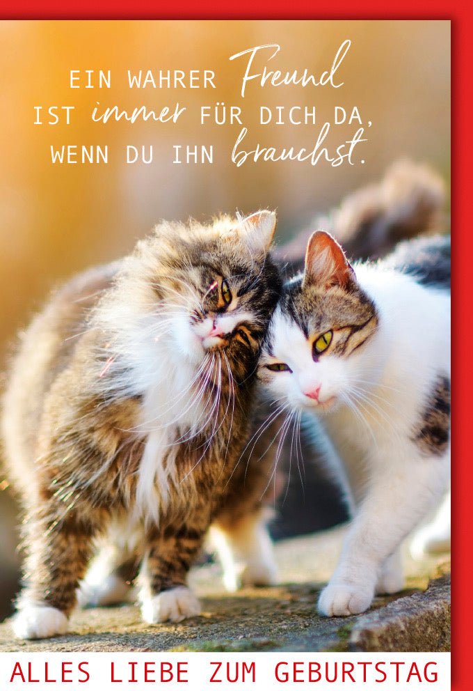 Geburtstagskarte mit Katzenmotiv – Herzliche Glückwunsch Doppelkarte für Freundschaft und Liebe, Tiermotiv voller Wärme und Zusammenhalt, Festliche Gratulationskarte mit Geburtstagswünschen, Ideal als Geschenk zur Feier der Gemütlichkeit und Freude