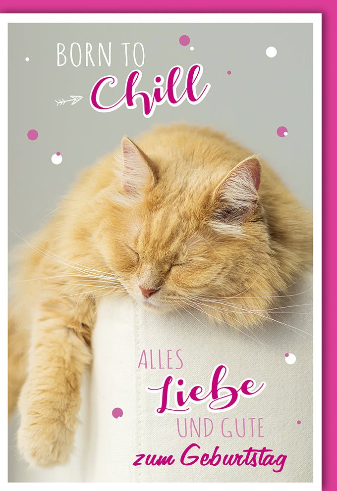 Geburtstagskarte mit lustigem Katzenmotiv – Entspannung pur! Witzige Doppelkarte zum Relaxen & Chillen, Humorvolle Glückwünsche, Tierisches Vergnügen für Geburtstag Gratulation
