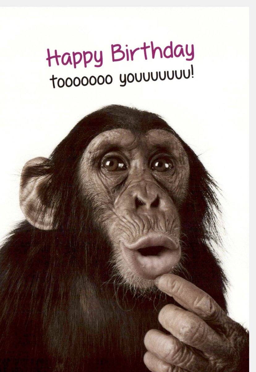Geburtstagskarte mit Schimpanse - Lustige Doppelkarte mit Spruch, Happy Birthday Tiermotiv, Witzige Grußkarte für Spaß & Freude, Glückwunsch Party Überraschung, Cartoon Illustration Celebration