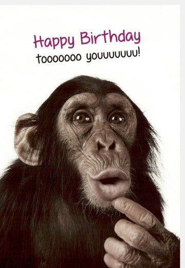 Geburtstagskarte mit Schimpanse - Lustige Doppelkarte mit Spruch, Happy Birthday Tiermotiv, Witzige Grußkarte für Spaß & Freude, Glückwunsch Party Überraschung, Cartoon Illustration Celebration