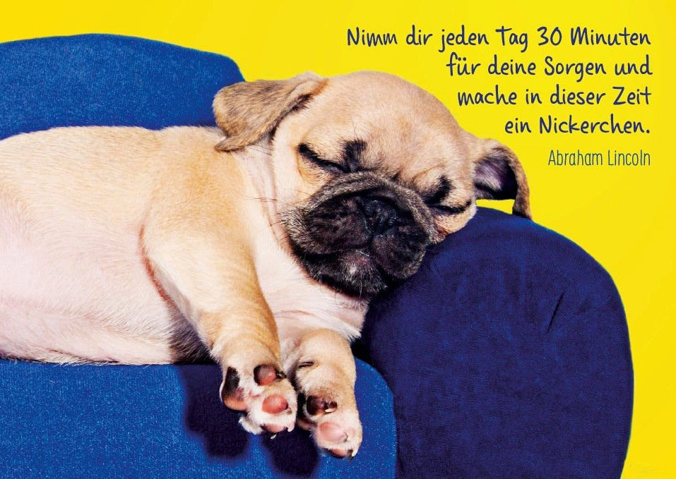 Geburtstagskarte mit Spruch: "Mops - Philosophie" - Lebensweisheit & Humor, Entspannung Tierpostkarte in Gelb & Blau