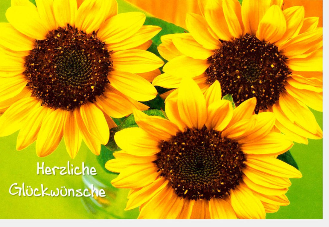 Geburtstagskarte Sonnenblume - Herzliche Glückwünsche Doppelkarte, Naturmotiv Gelb Sommerblume, Freundliche Blumengruß Grußkarte, Frohsinn & Freude Gratulationskarte, Sonnig & Hell Wunsch - Karte