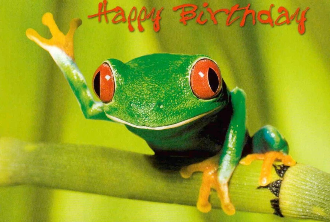 Geburtstagspostkarte: Frog - Happy Birthday!