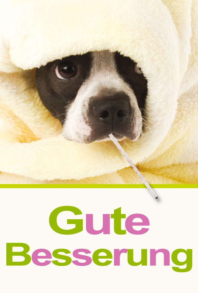 Genesungskarte für Hundebesitzer: Liebevolle Besserungswünsche und Trost, Gelbe Aufmunterungskarte für Tierliebhaber, Fürsorgliche Unterstützung bei krankem Haustier, Mitgefühl & Erholungswerkzeug