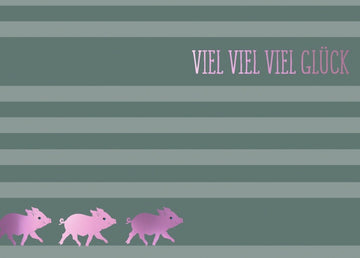 Glückwunschkarte "Viel Erfolg" - Glücksbringer Schweinchen, Streifenmuster in Grün & Rosa, Schriftzug & Illustration