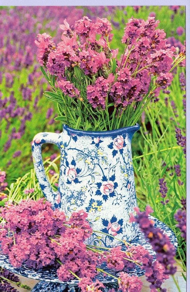 Grußkarte Lavendel ohne Text Sommer