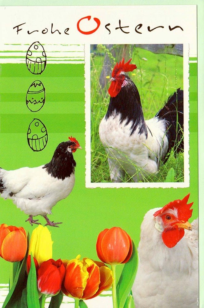 Grußkarte Ostern Frohe Ostern Hühner