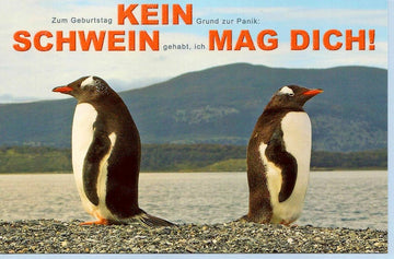 Karte Geburtstag lustig Kein Schwein mag Dich