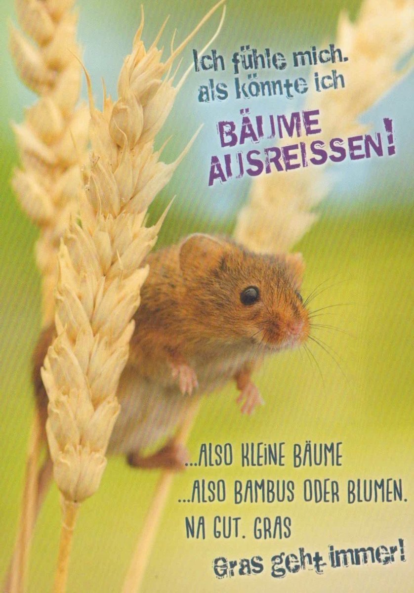 Lustige Postkarte mit Spruch – Maus im Weizenfeld – Naturmotiv mit Tieren, Bäumen & Blumen – Witzige Grüße in Grün – Spaßiges Geschenk mit Humor