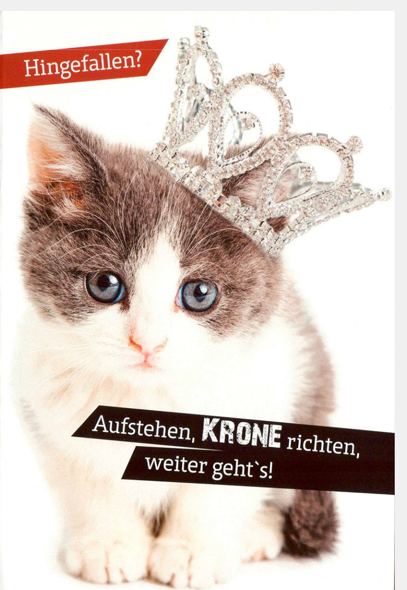 Motivations - Doppelkarte "Krone Richten & Weitergehen" - Aufmunterung & Ermutigung mit Niedlicher Katze, Resilienz & Humor, Positives Denken & Kraft Geben, Süßes Tiermotiv zum Trösten und Freude Schenken