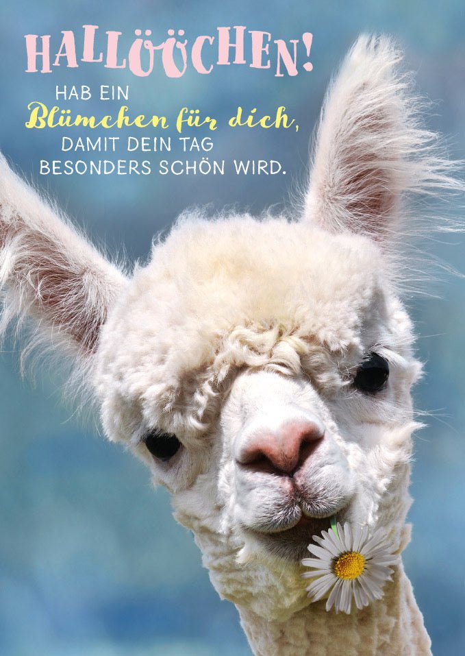 Postkarte Freundschaft Spruch Hallöchen Hab ein Blümchen für dich, damit dein Tag besonders schön wird