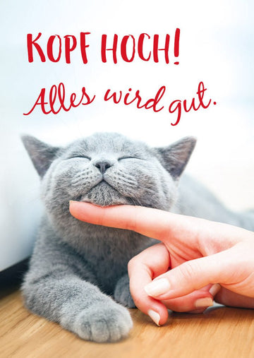 Postkarte Freundschaft Spruch Kopf hoch Alles wird gut