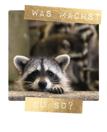 Postkarte Freundschaft Spruch was machst du so?