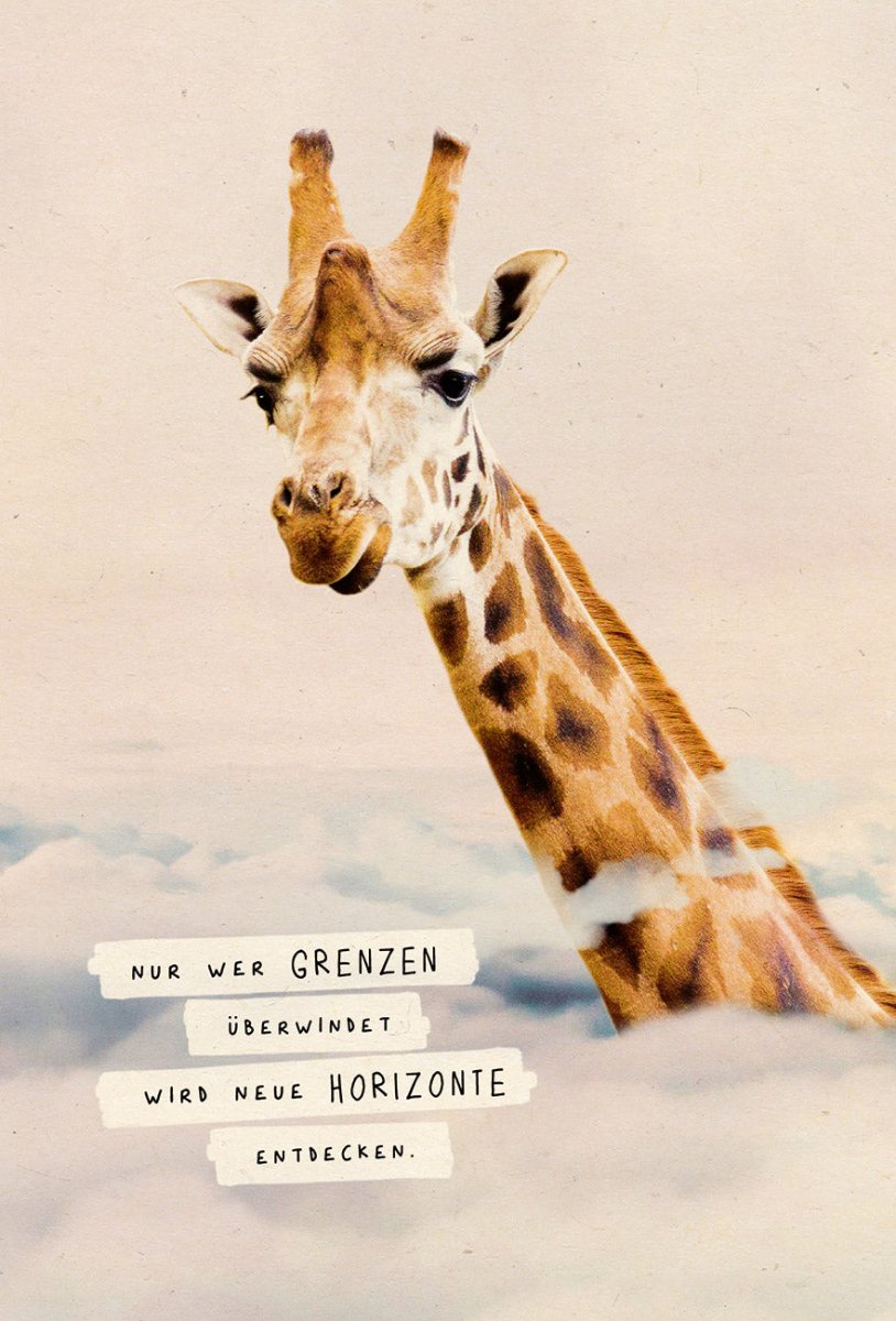 Postkarte Lebensweisheit Grenzen Giraffe, Zuckerrohrpapier