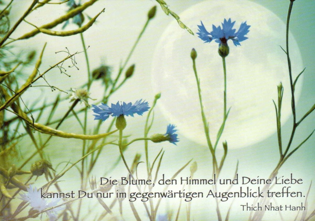 Postkarte Lebensweisheit Spruch Die Blume, den Himmel