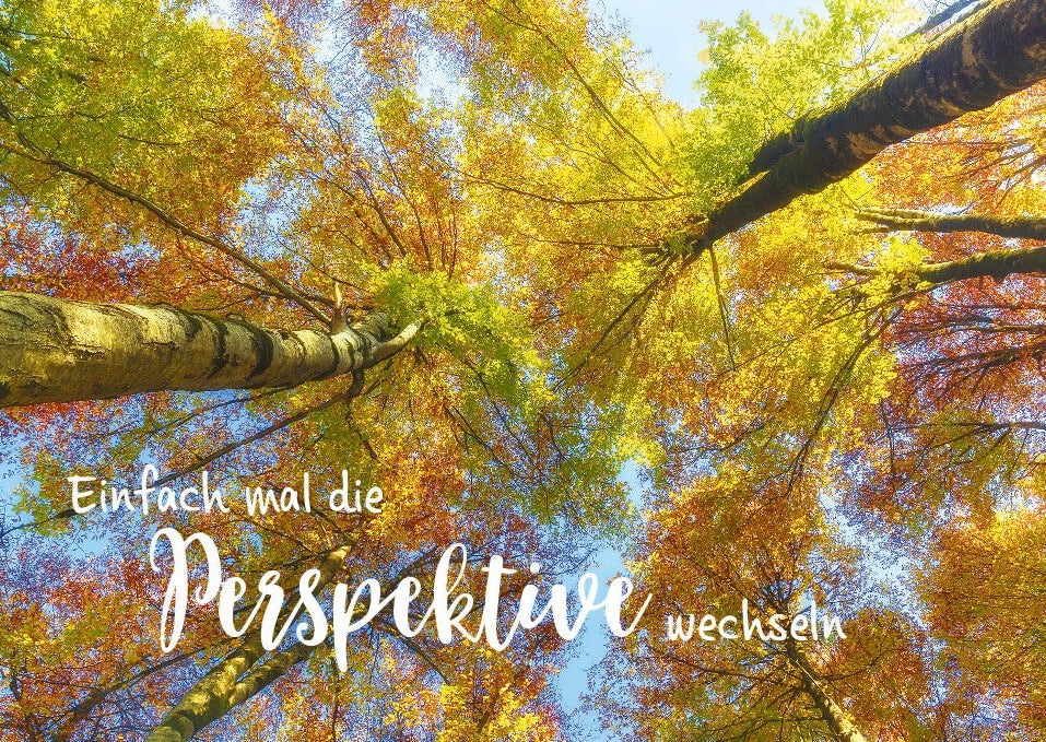 Postkarte Lebensweisheit Spruch Einfach mal die Perspektive wechseln