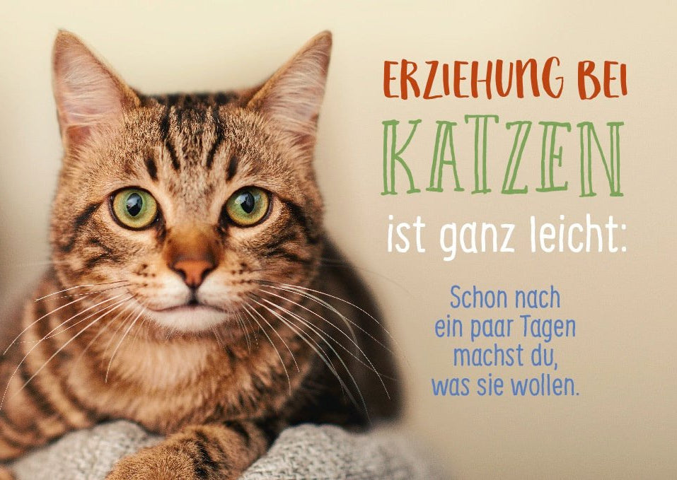 Postkarte Lebensweisheit Spruch Erziehung bei Katzen ist ganz leicht