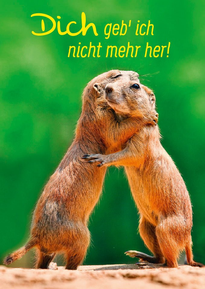 Postkarte Liebe Spruch Dich geb' ich nicht mehr her