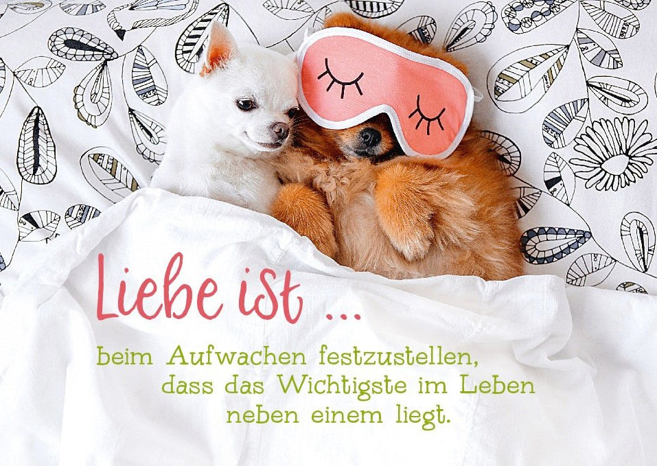 Postkarte Liebesspruch Liebe ist beim Aufwachen festzustellen, dass das Wichtigste im Leben neben einem liegt