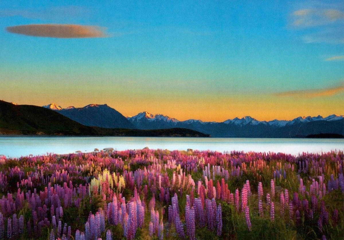 Postkarte Natur Landschaft Tekapo Dawn