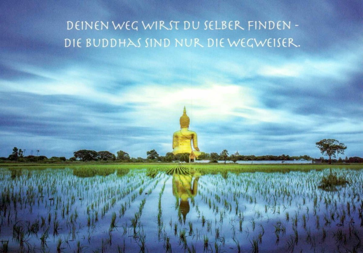 Postkarte spirituell: Buddha in the Fields / TX 426