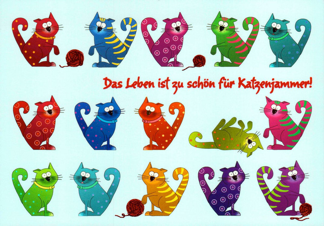 Postkarte Spruch Das Leben ist zu schön für Katzenjammer!