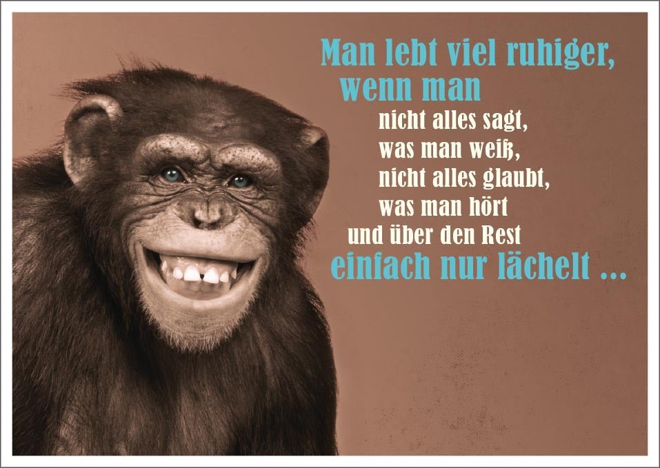 Postkarte Spruch humorvoll Man lebt viel ruhiger, wenn man nicht alles sagt