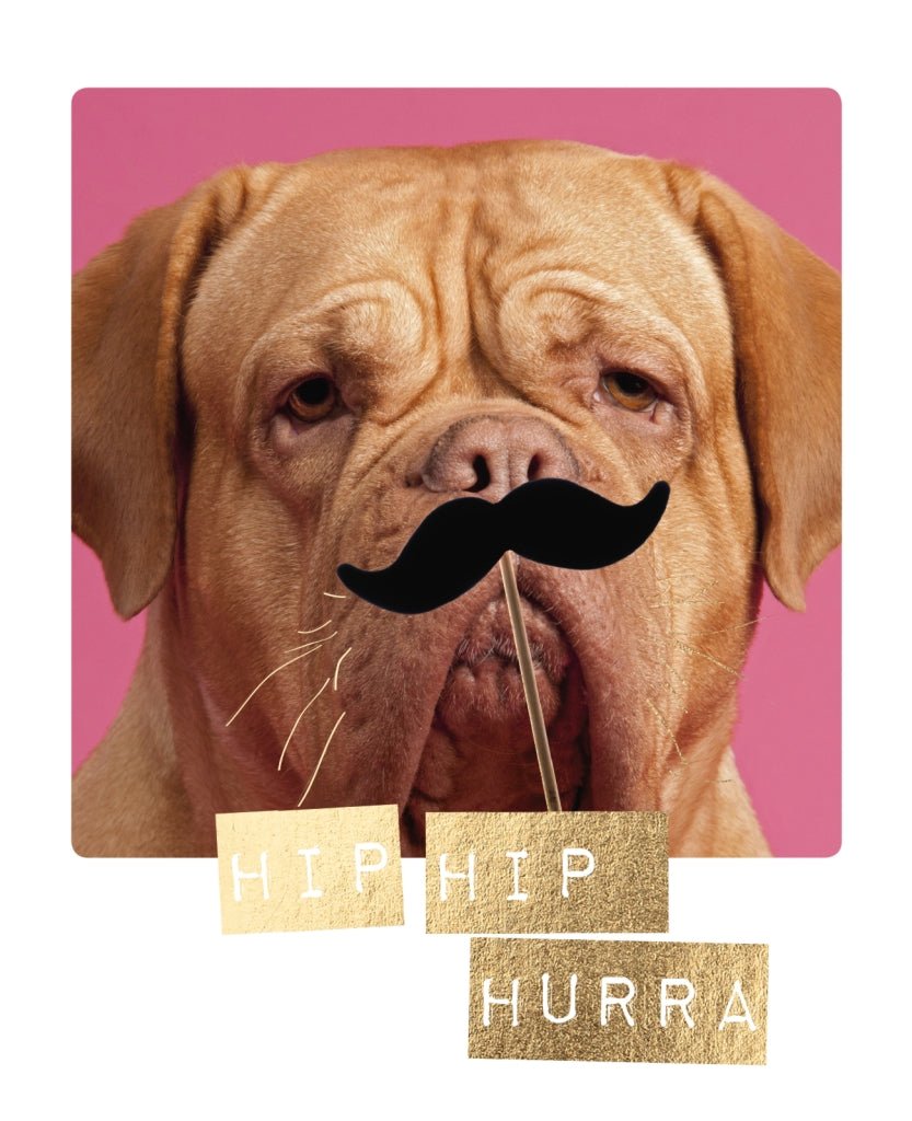 Postkarte Spruch Hund mit Schnäuzer Hip Hip Hurra