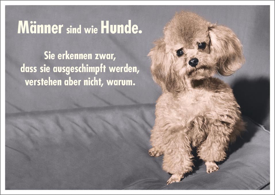 Postkarte Spruch lustig Männer sind wie Hunde