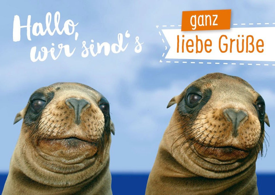 Postkarte Sprüche Hallo wir sind´s Ganz Liebe Grüße