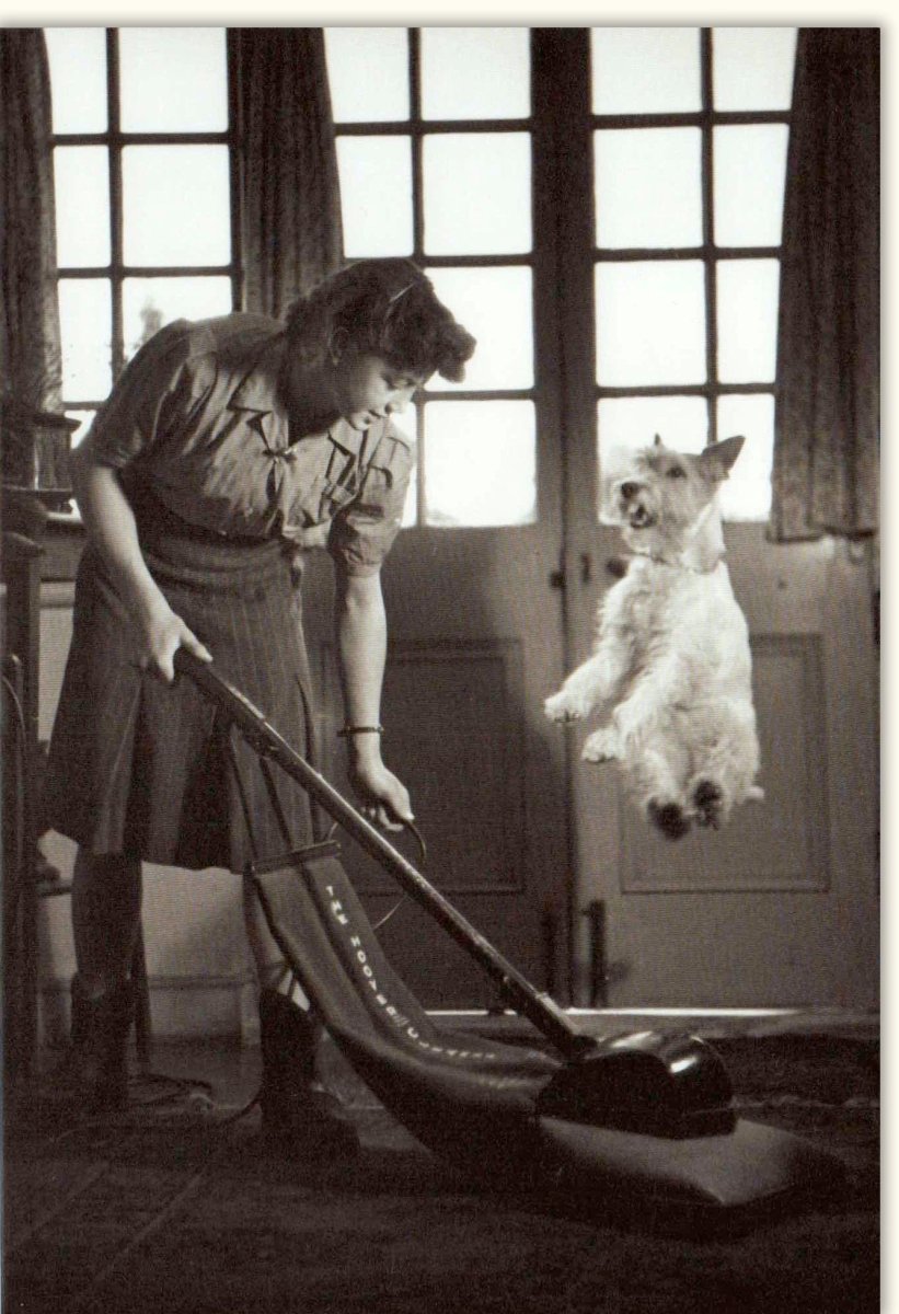Retro Vintage Doppelkarte - Blanko Schwarzweiß, Elegante Frau mit Hund & Staubsauger, Klassische Freude beim Putzen, 150g/m²