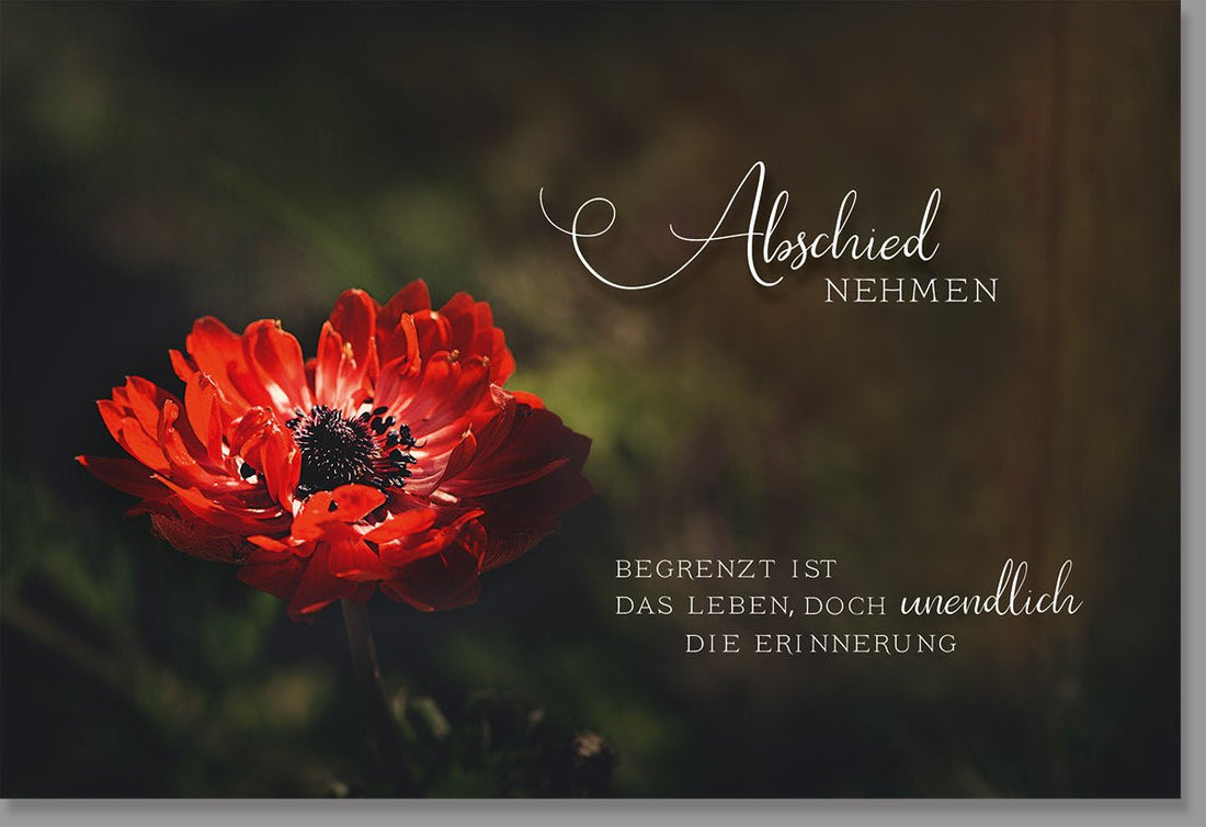 Trauerkarte Beileid & Anteilnahme - Elegante Doppelkarte mit Roter Blume, Naturmotiv in Dunkelrot & Schwarz, Stilvolle Kondolenzkarte für Abschied, Gedenken & Erinnerung - Friedvoller Trost für Angehörige und Freunde im Trauerfall