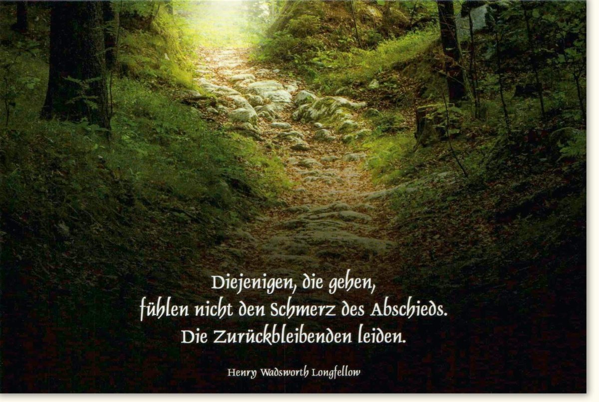 Trauerkarte Beileid Kondolenz - Hoffnungsvoller Waldweg & Lichtung Naturmotiv mit tröstendem Longfellow Gedicht, Abschieds - und Trauer - Doppelkarte mit Umschlag