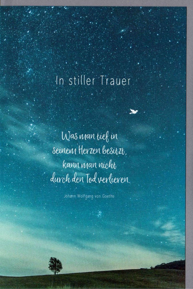 Trauerkarte Beileid mit Sternenhimmel - Motiv - Kondolenzkarte Natur Nacht, Stille & Trost, Goethe Zitat, Baum & Vogel am Himmel - Gedenkkarte zum Abschied mit Frieden & Hoffnung