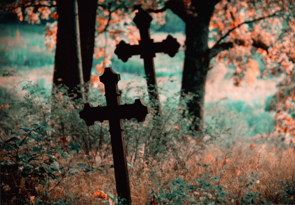 Trauerkarte "Fields of Sorrow" - Friedhof mit Kreuzen, Herbstliche Bäume, Natur & Ruhe, Besinnliche Blankopostkarte