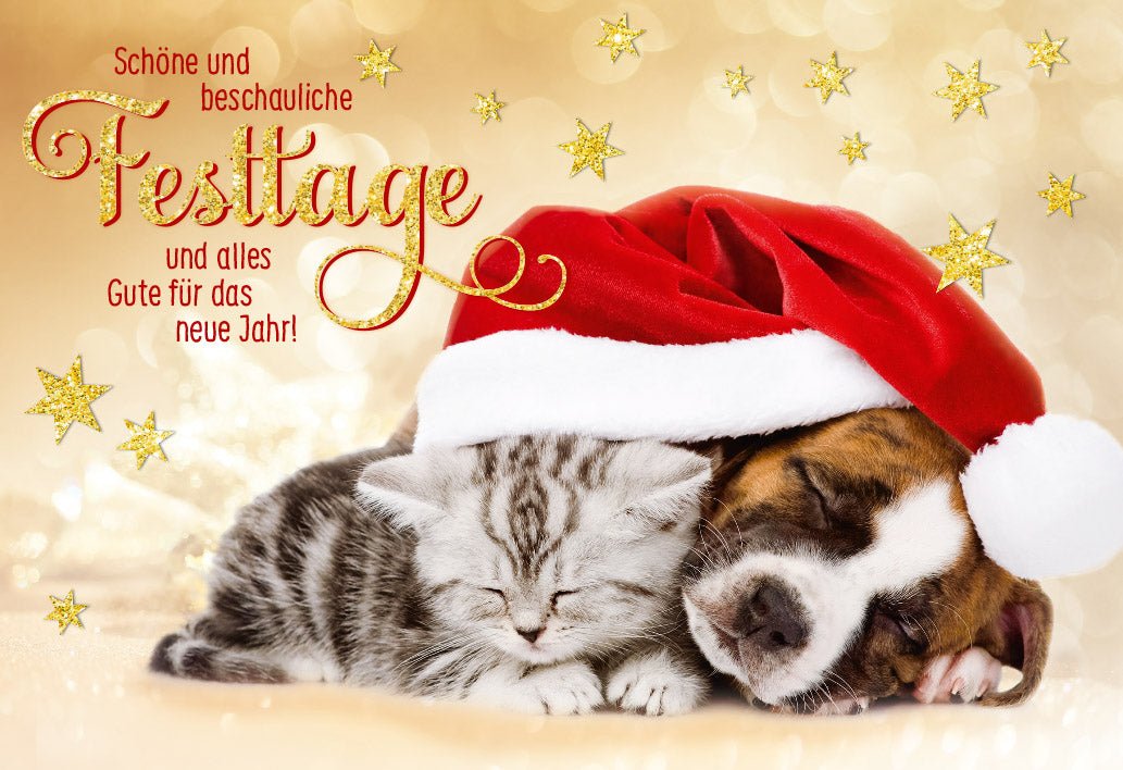 Weihnachts - Doppelkarte mit Tieren: Hund & Katze - Besinnliche Feiertagsgrüße voller Liebe, Familie & Harmonie