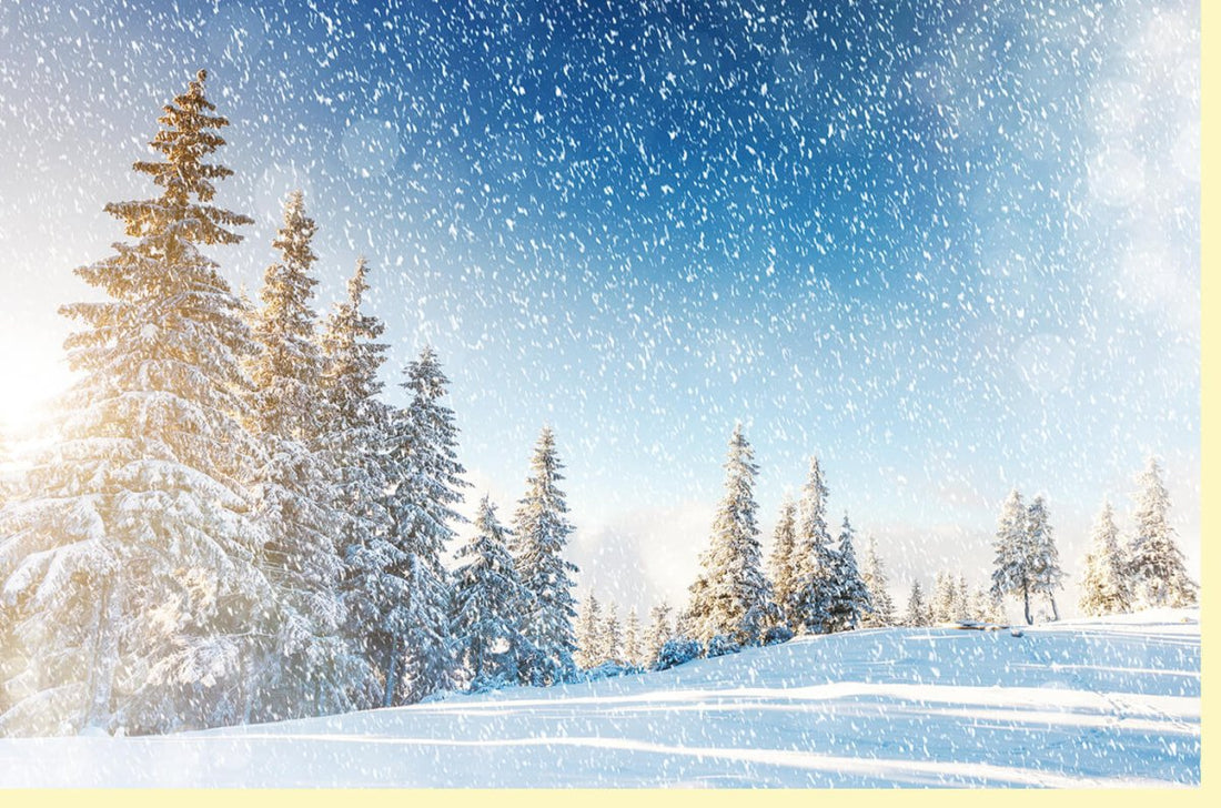 Weihnachts - Doppelkarte "Winterzauber" - Traditionelle Festtagsgrüße mit Schneebedeckten Tannen & Sternenhimmel, Blaue Besinnliche Winterlandschaft Grußkarte
