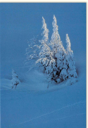 Weihnachtskarte Doppelkarte Traditionell - Winterlandschaft mit Schneebedeckten Bäumen, Frost & Natur in Stille, Besinnlich Blau - Weiß, "Merry Christmas" Gruß – Eingeschneite Festtagskarte