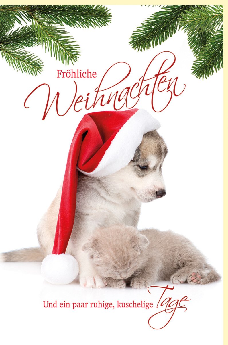 Weihnachtskarte für Tierfreunde: Festliche Doppelkarte mit Katzen & Hunden im Schnee, Weihnachtsmütze, Tannenzweige - Liebevolle Grüße in Rot & Weiß für Familie und Freunde, Harmonische Haustier - Motive, Besinnliche Feiertage & Warmherzige Botschaft