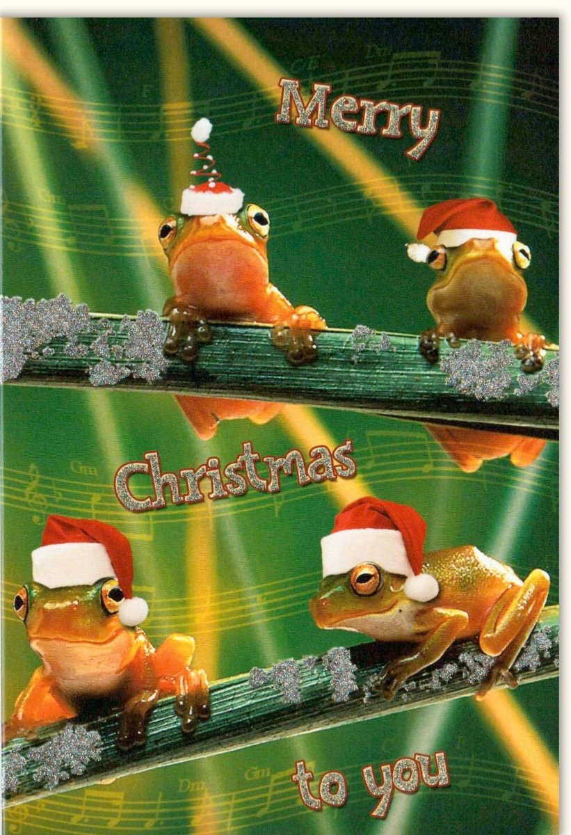 Weihnachtskarte Lustig mit Fröschen - Witzige Doppelkarte für Festliche Weihnachtsgrüße, Tierisch Frohe Weihnachten Humor, Spaßige Quakende Frösche in Santa Hüten - Merry Christmas Grußkarte