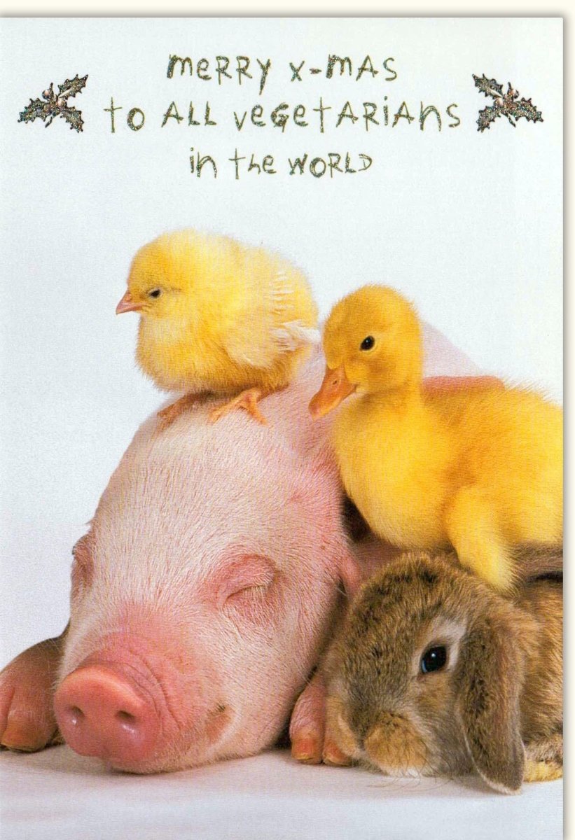 Weihnachtskarte Lustig Tiere für Vegetarier: Festliche Grußkarte mit Schwein, Entenküken & Hase - Merry X - Mas Humorvolle Kuscheltier - Freundschaft, Tierliebe & Witz - Doppelkarte mit Umschlag
