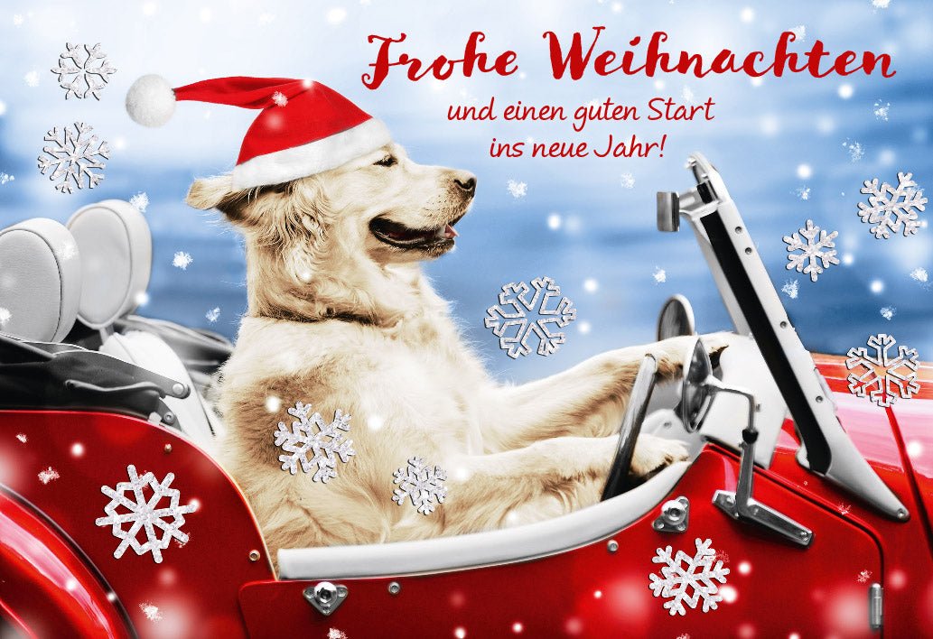 Weihnachtskarte mit Hund im Schlitten: Lustige Festtagsgrüße, Rote Schneeflocken, Frohe Weihnachten & Neujahrswünsche, Tierische Freude im Winter - Doppelkarte mit Weihnachtsmütze, Ideal als Geschenk