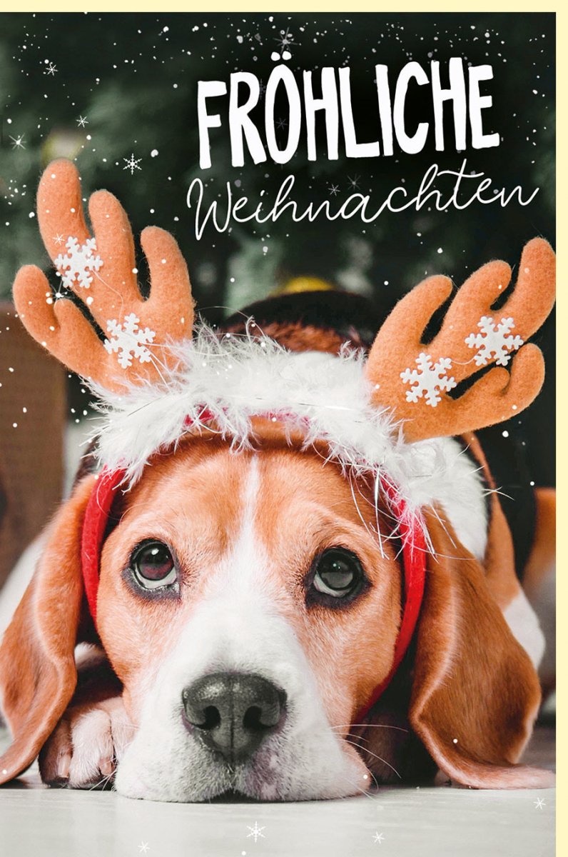 Weihnachtskarte mit Hundemotiv - Niedliche Beagle mit Elchgeweih, Schneelandschaft, Festliche Grußkarte für Familie & Freunde, Braun - Weiß - Rot, Frohe Feiertage Haustier - Thema