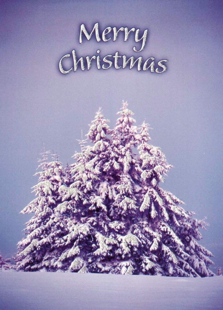 Weihnachtskarte mit Schneelandschaft - Festliche Tannenbaum , Winterliche Natur & Frost Motiv für Frohe Feiertage